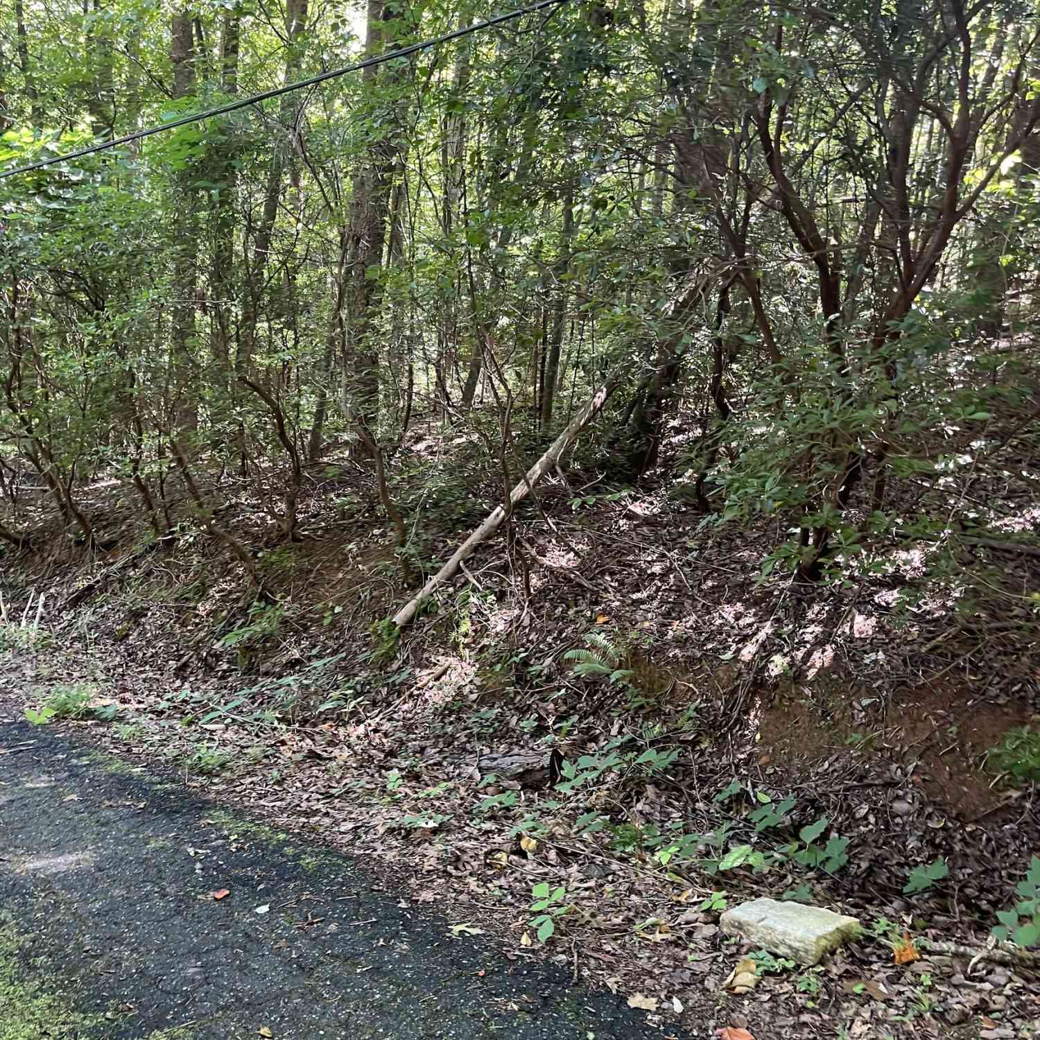 Vacant Land For Sale - Beechwood Drive #25,26<br/> Clayton, GA 30525