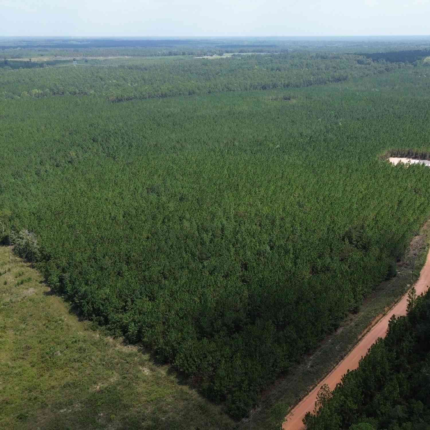 Vacant Land For Sale - TRACT 2 Penny Morris Road<br/> Baxley, GA 31513