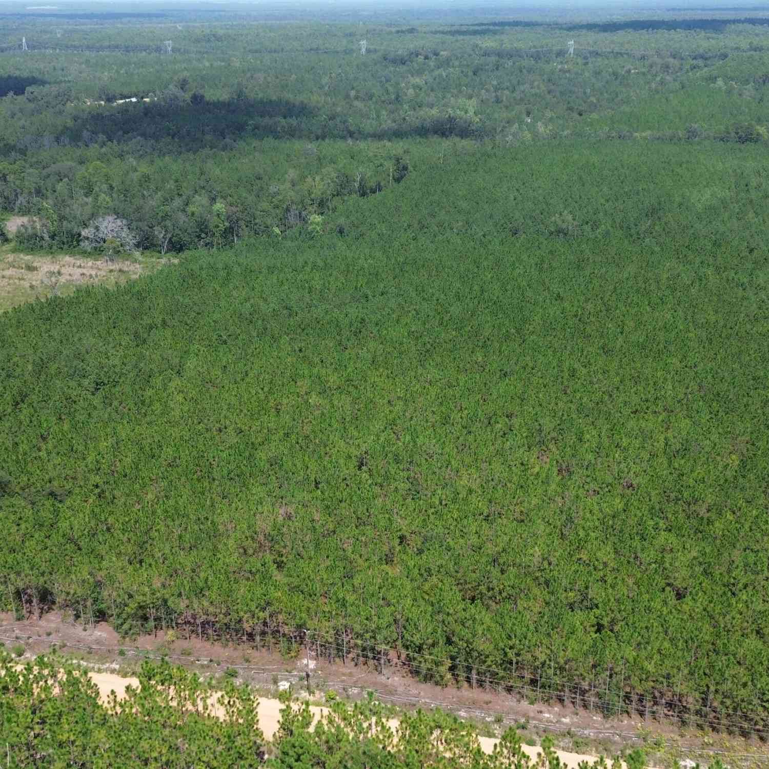 Vacant Land For Sale - TRACT 3 Penny Morris Road<br/> Baxley, GA 31513
