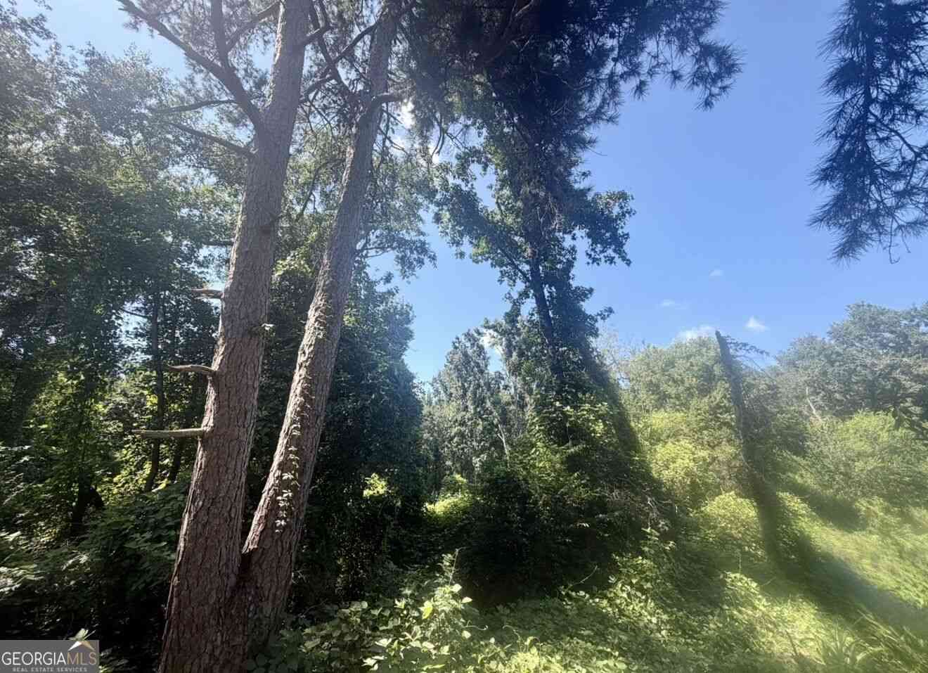 Vacant Land For Sale - Washington Street<br/> Sardis, GA 30456