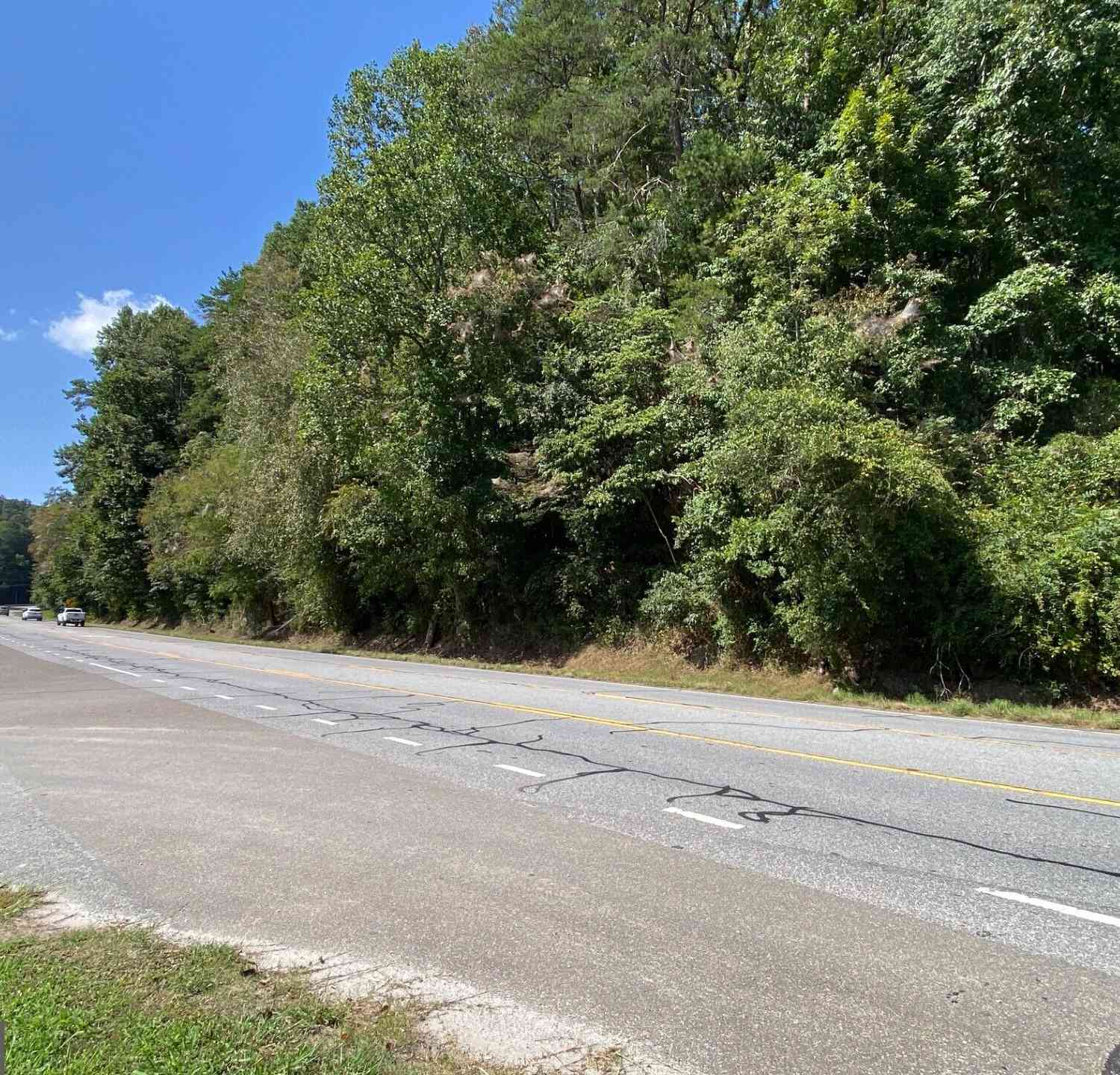 Vacant Land For Sale - 2AC U.s. Hwy 19n/ga Hwy 60n<br/> Dahlonega, GA 30533