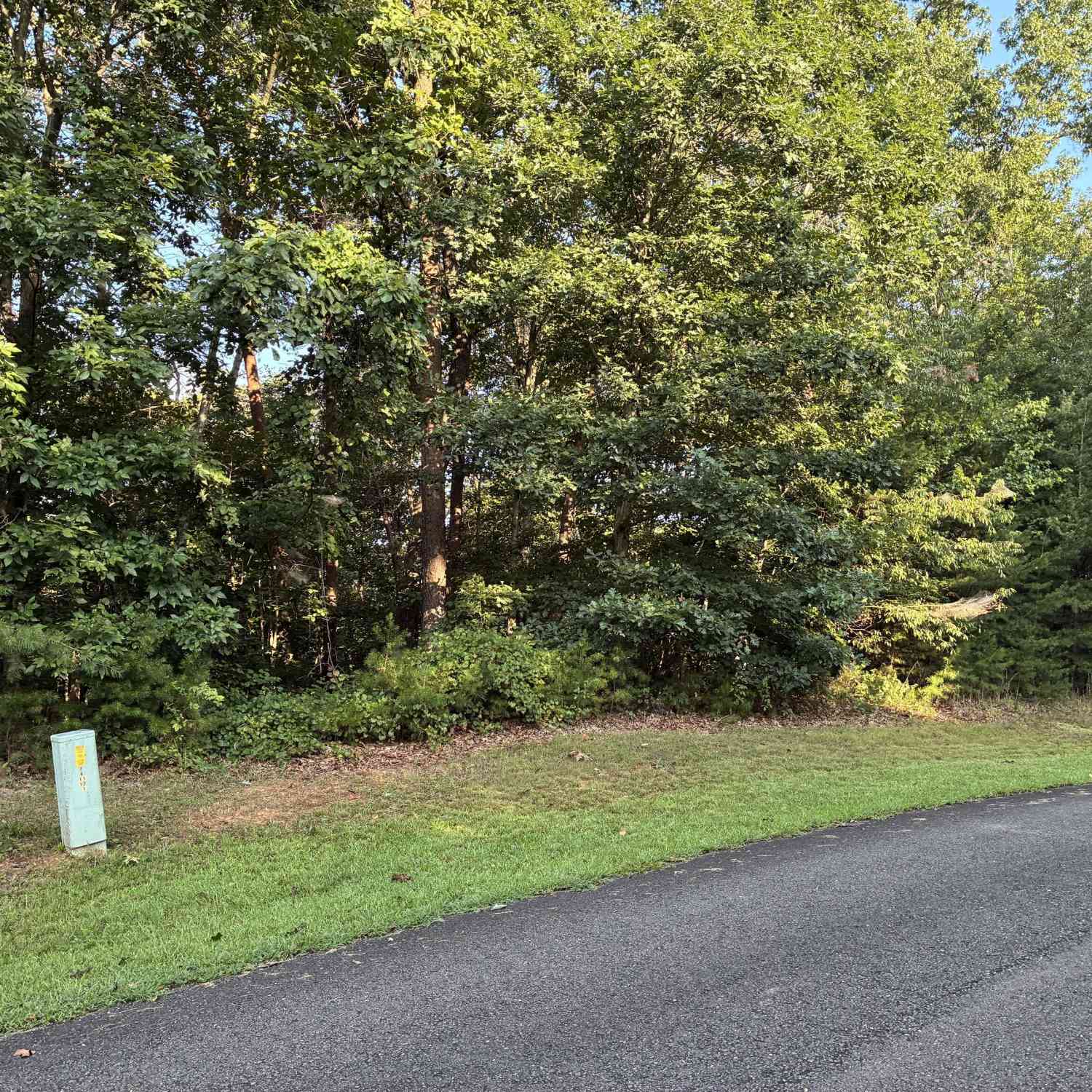 Vacant Land For Sale - Town Creek Road<br/> Talking Rock, GA 30175
