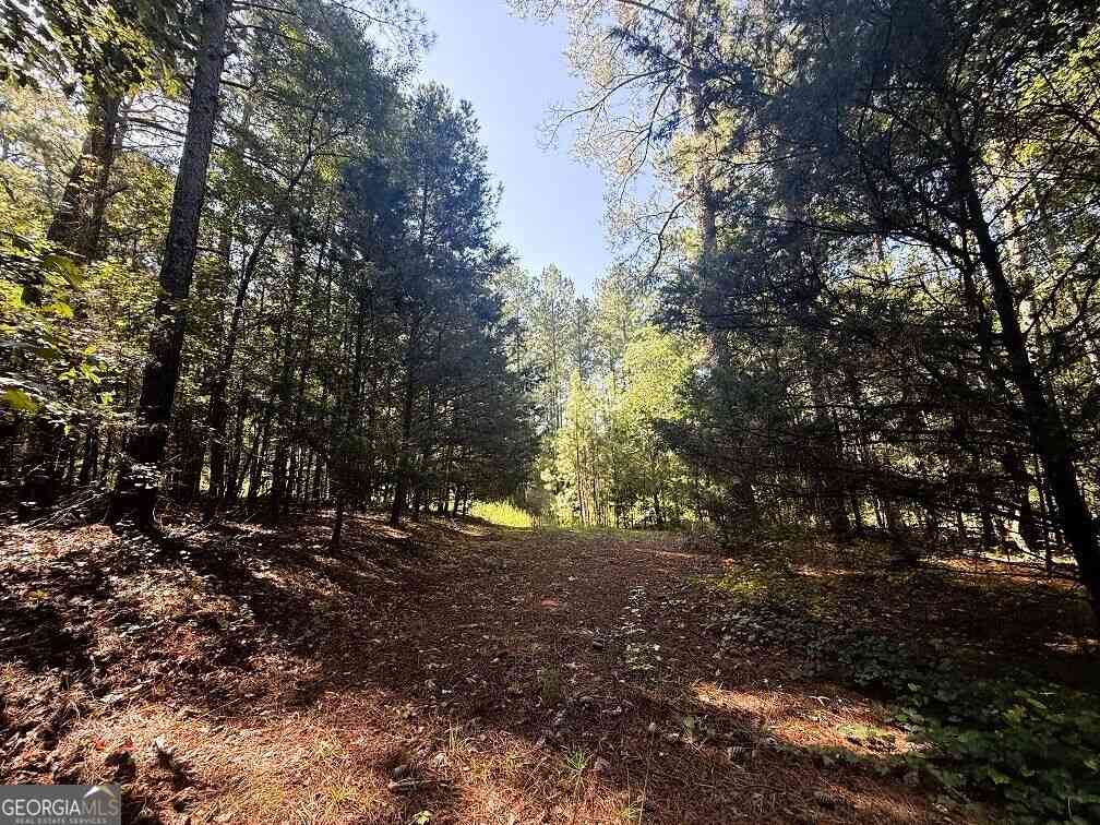 Vacant Land For Sale - 2604 Hughes Rd<br/> Bowman, GA 30624