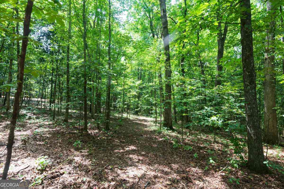 Vacant Land For Sale - Roosevelt Hwy - 20.58 Acres<br/> Warm Springs, GA 31830