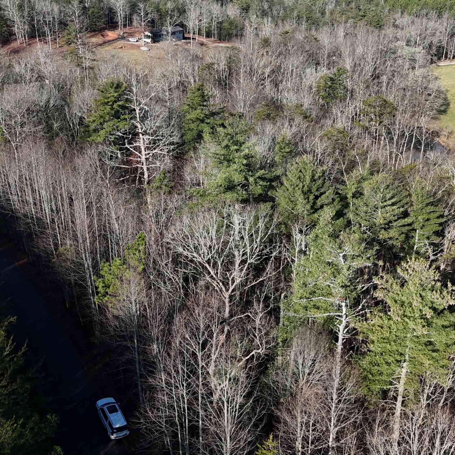 Vacant Land For Sale - LOT 10 Gold Ditch Road<br/> Cleveland, GA 30528
