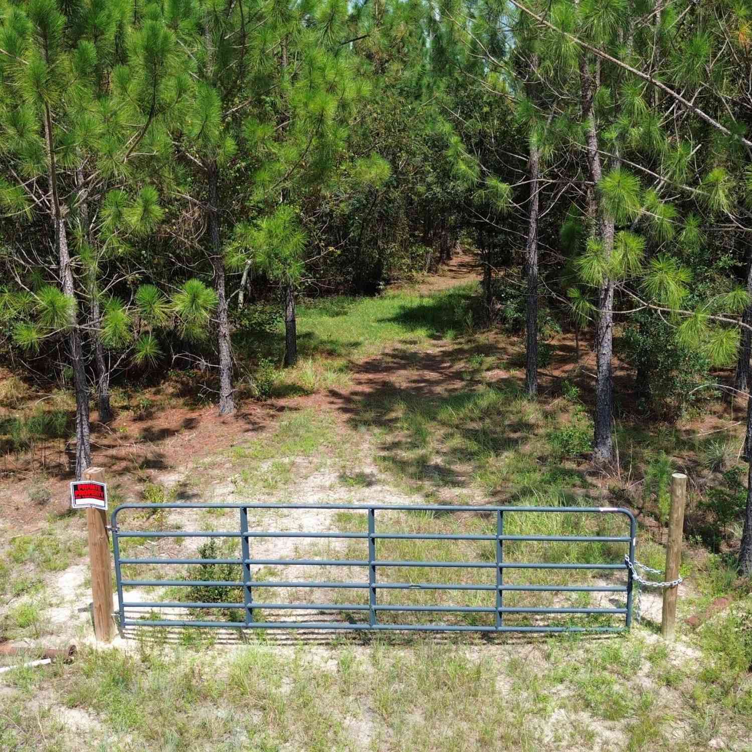 Vacant Land For Sale - TRACT 4 Penny Morris Road<br/> Baxley, GA 31513