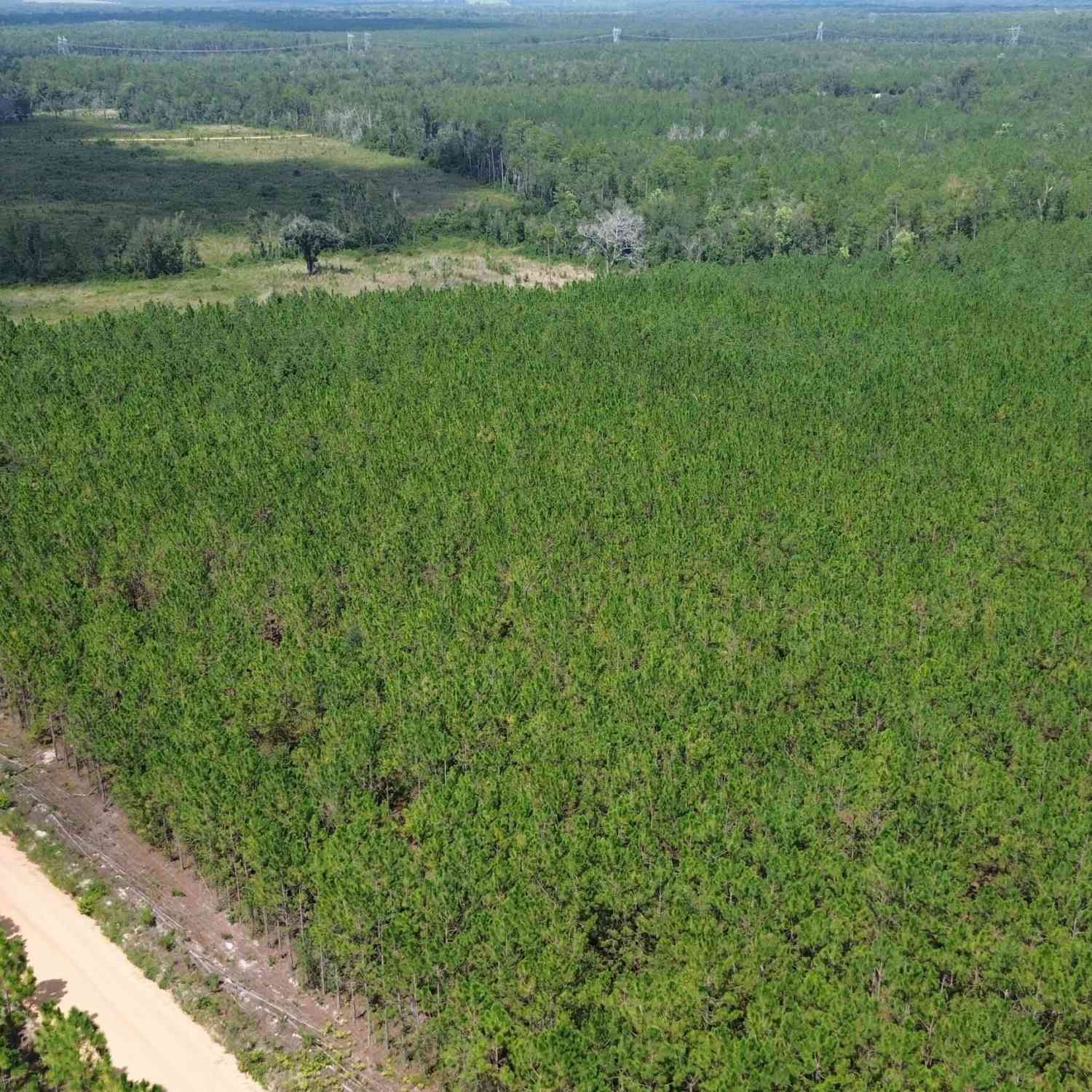 Vacant Land For Sale - TRACT 5 Penny Morris Road<br/> Baxley, GA 31513