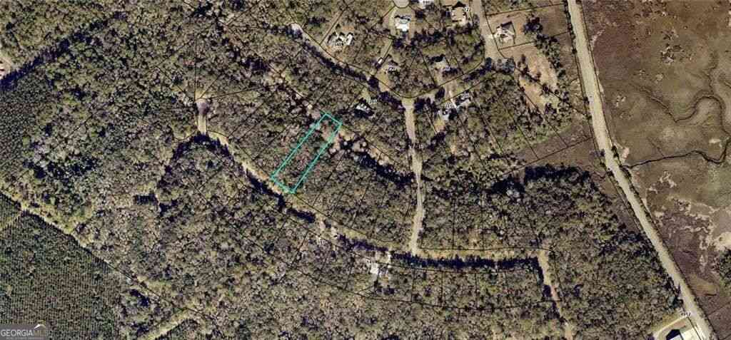 Vacant Land For Sale - 68 Tar Flower Trail<br/> Waverly, GA 31565