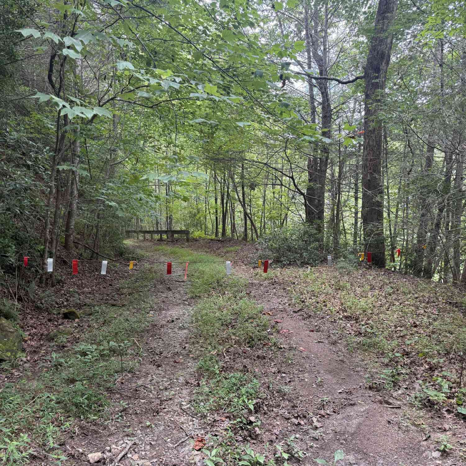 Vacant Land For Sale - Yahoola Indian Trail<br/> Dahlonega, GA 30533