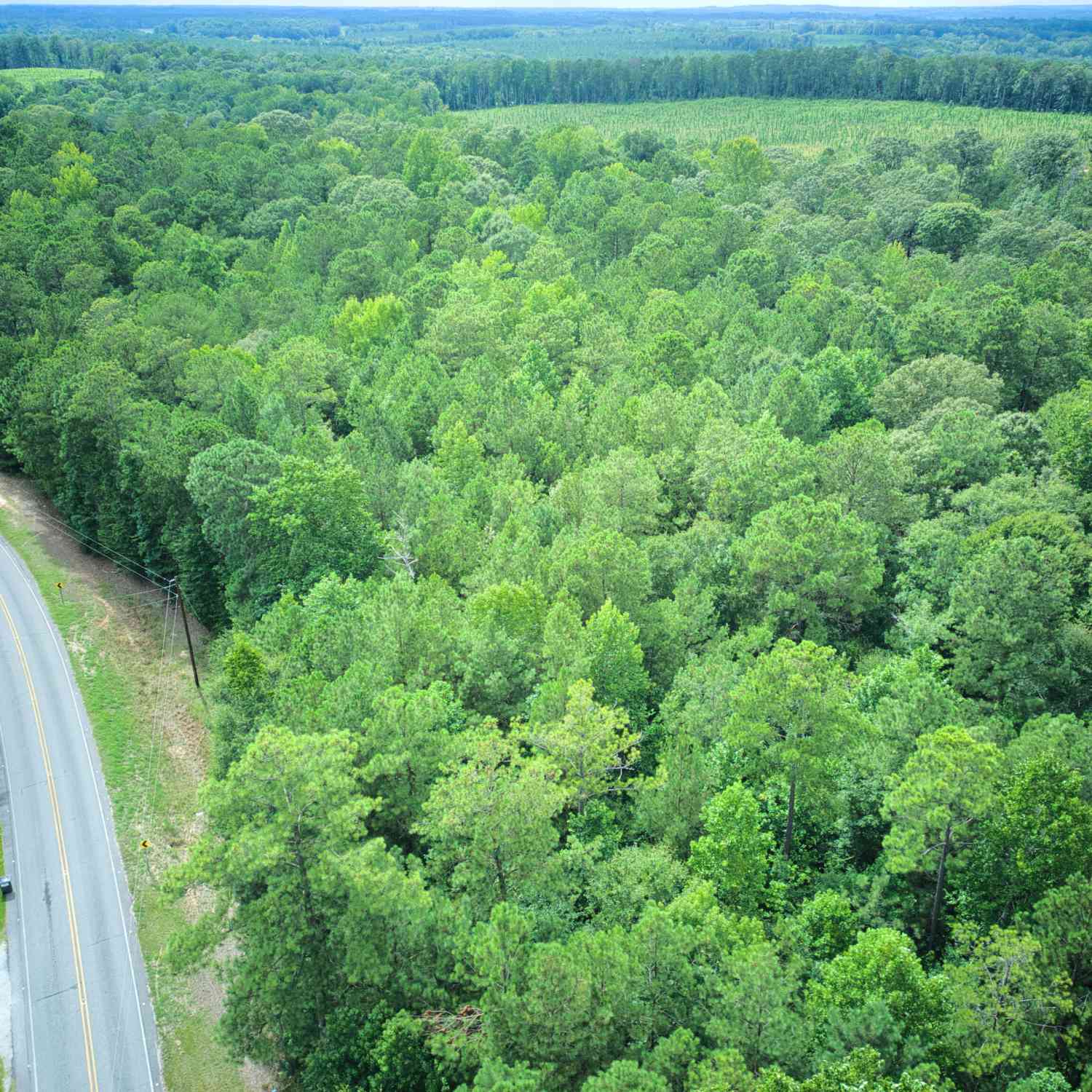 Vacant Land For Sale - 0 PARCEL 100 Judge Brown Road<br/> Chambers County, Valley, AL 36854