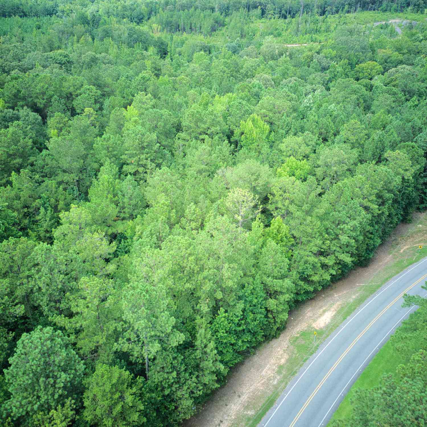 Vacant Land For Sale - 0 PARCEL 200 Judge Brown Road<br/> Chambers County, Valley, AL 36854