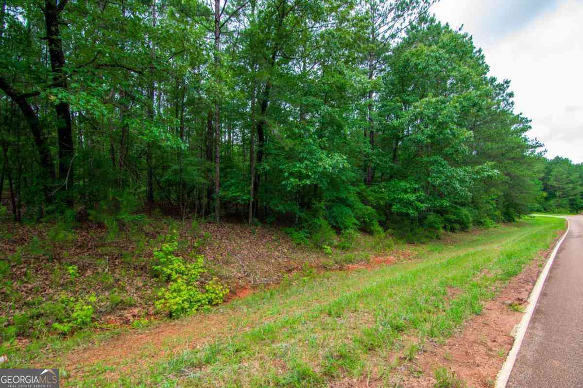 Vacant Land For Sale - White Road<br/> Pine Mountain, GA 31822