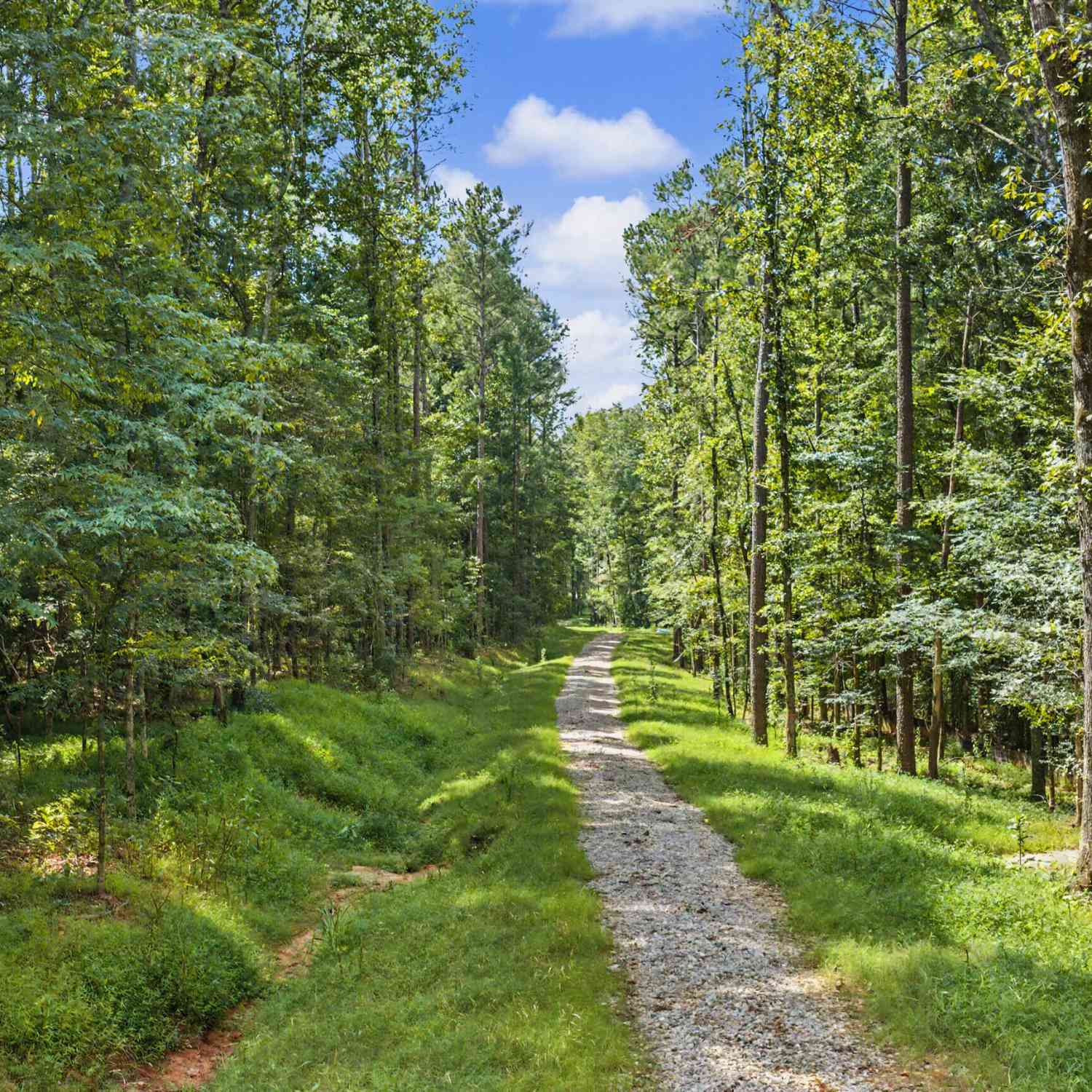 Vacant Land For Sale - 38.682 ACRES Btwn 446 & 478 Rising Star Rd.<br/> Brooks, GA 30205