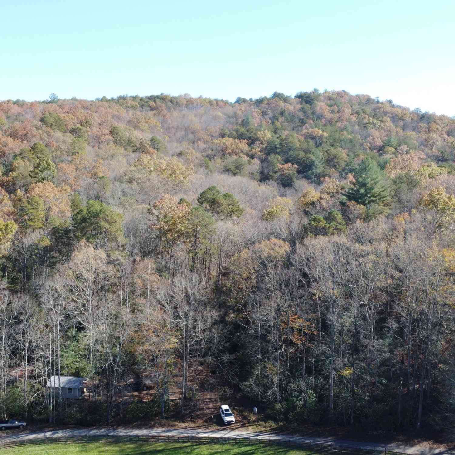 Vacant Land For Sale - Goshen Road<br/> Clarkesville, GA 30523