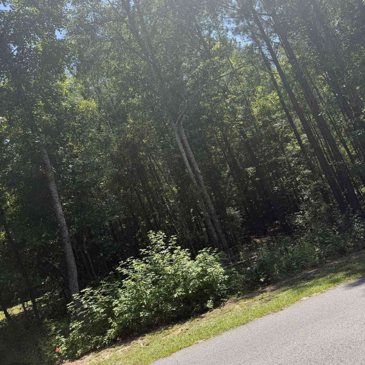 Vacant Land For Sale - Opal Street<br/> luthersville, GA 30251
