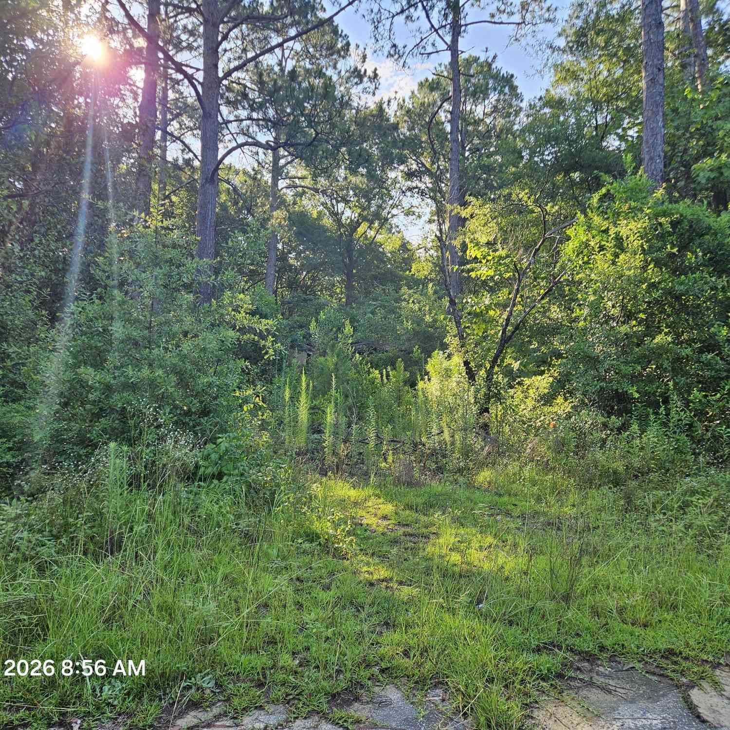 Vacant Land For Sale - 322 Ferguson Street<br/> Warner Robins, GA 31093