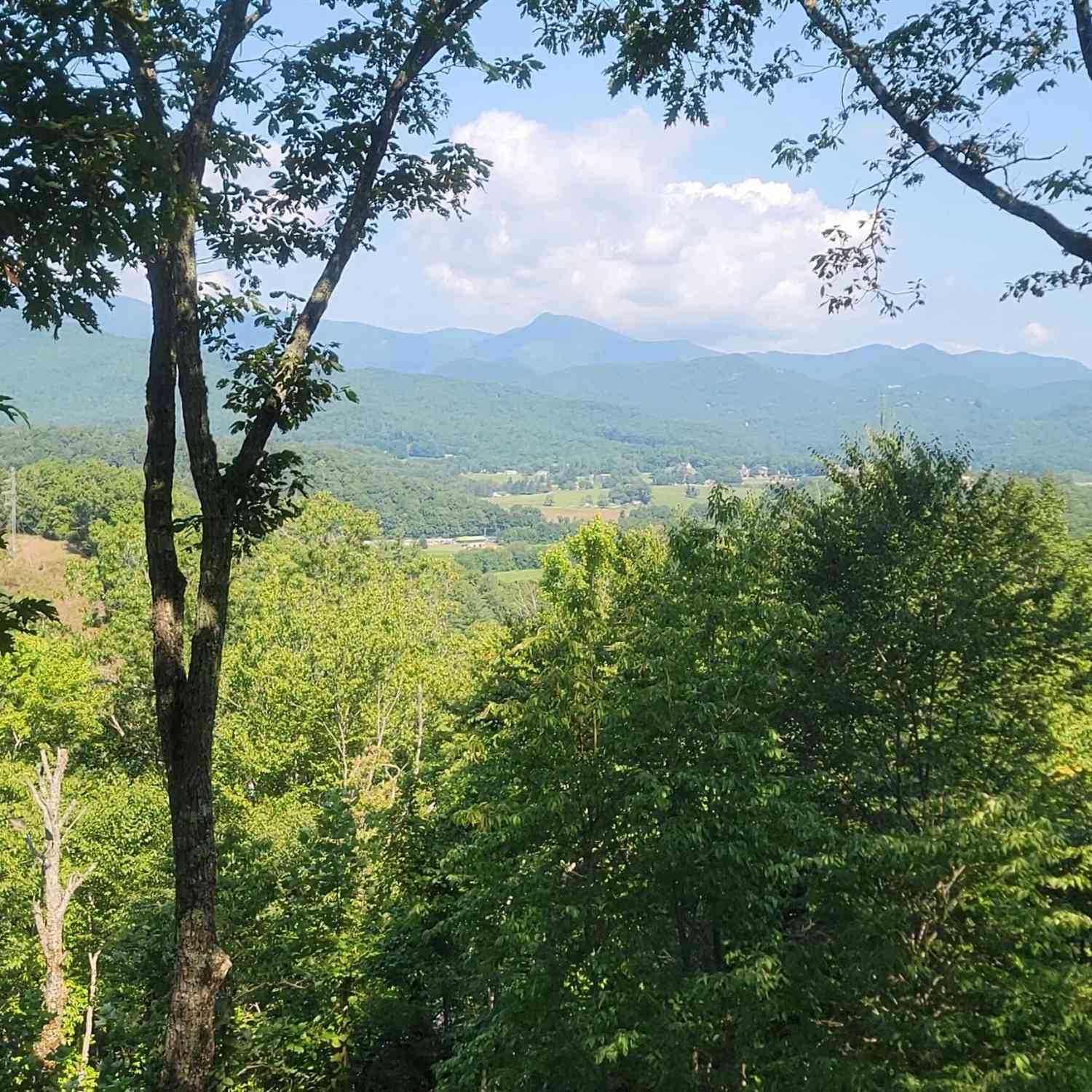Vacant Land For Sale - Fawn Ridge<br/> Rabun Gap, GA 30568