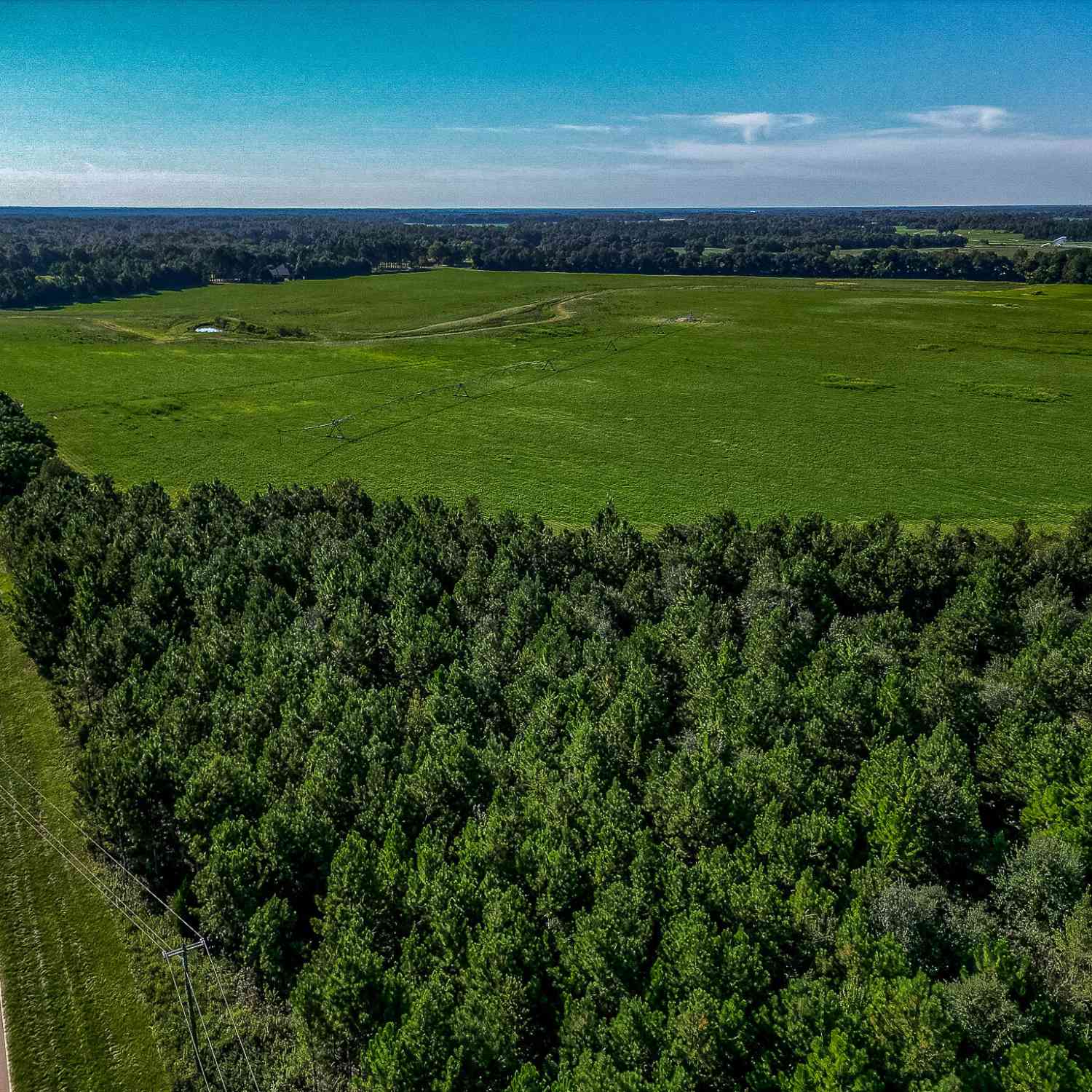 Vacant Land For Sale - Pullen Road<br/> Damascus, GA 39841