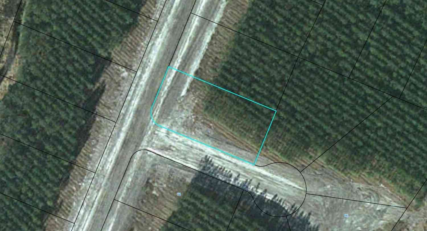 Vacant Land For Sale - LOT 69 Eagles Crest<br/> Waynesville, GA 31566