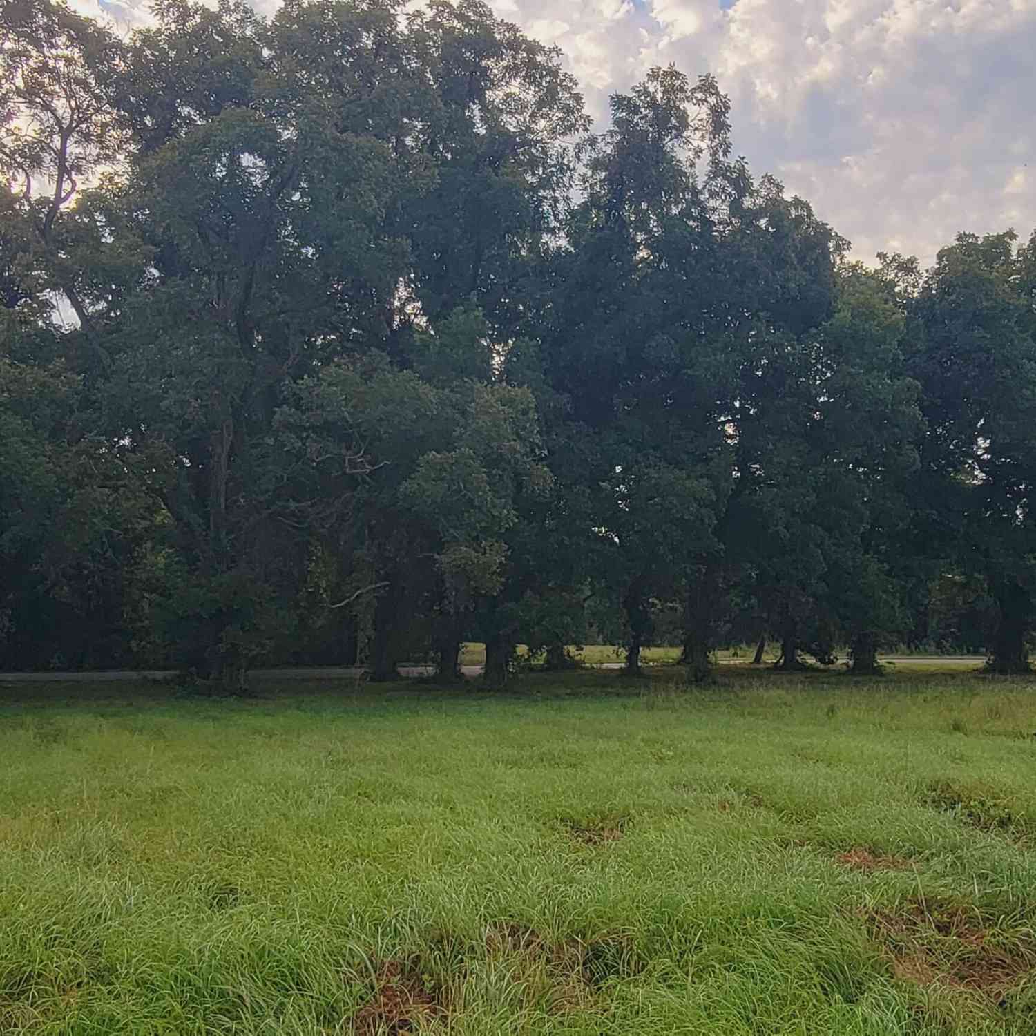 Vacant Land For Sale - Bankston Road<br/> Meansville, GA 30256