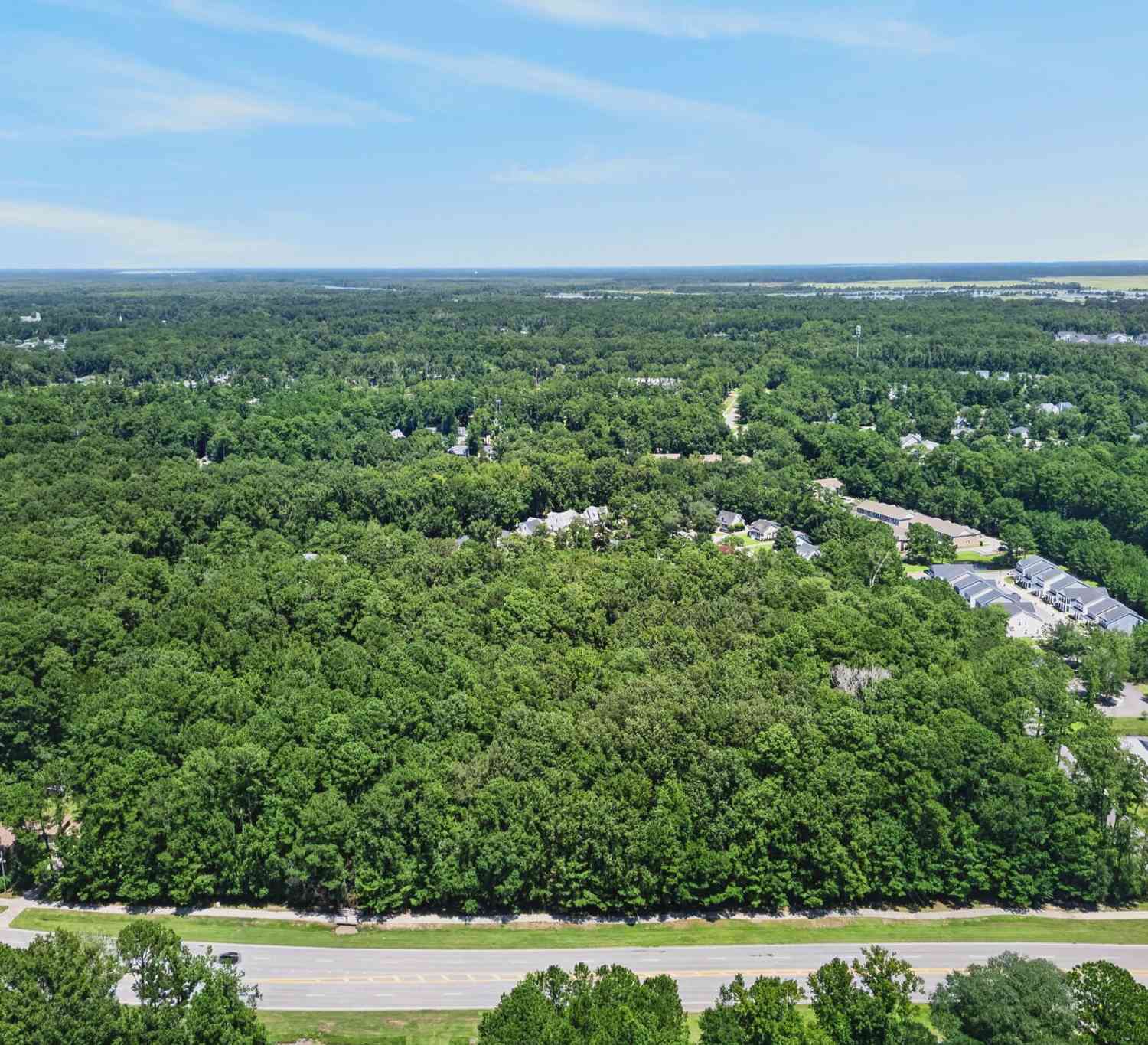 Vacant Land For Sale - Harris Trail Road<br/> Richmond Hill, GA 31324