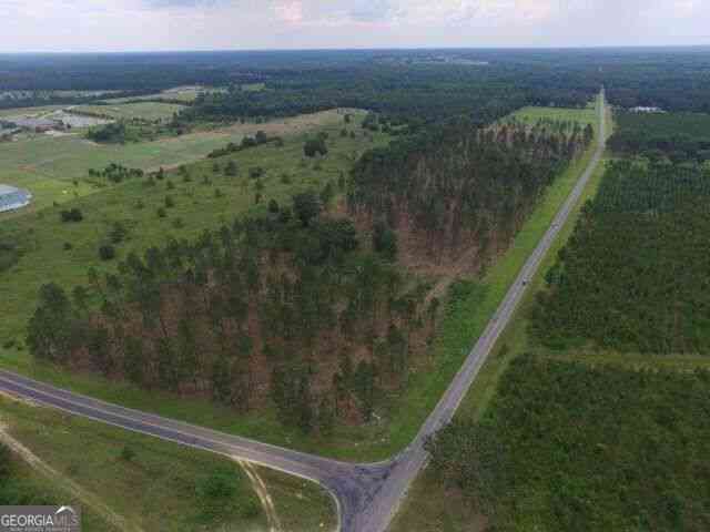 Vacant Land For Sale - Whipples Crossing Lot 2<br/> Laurens County, Dudley, GA 31022