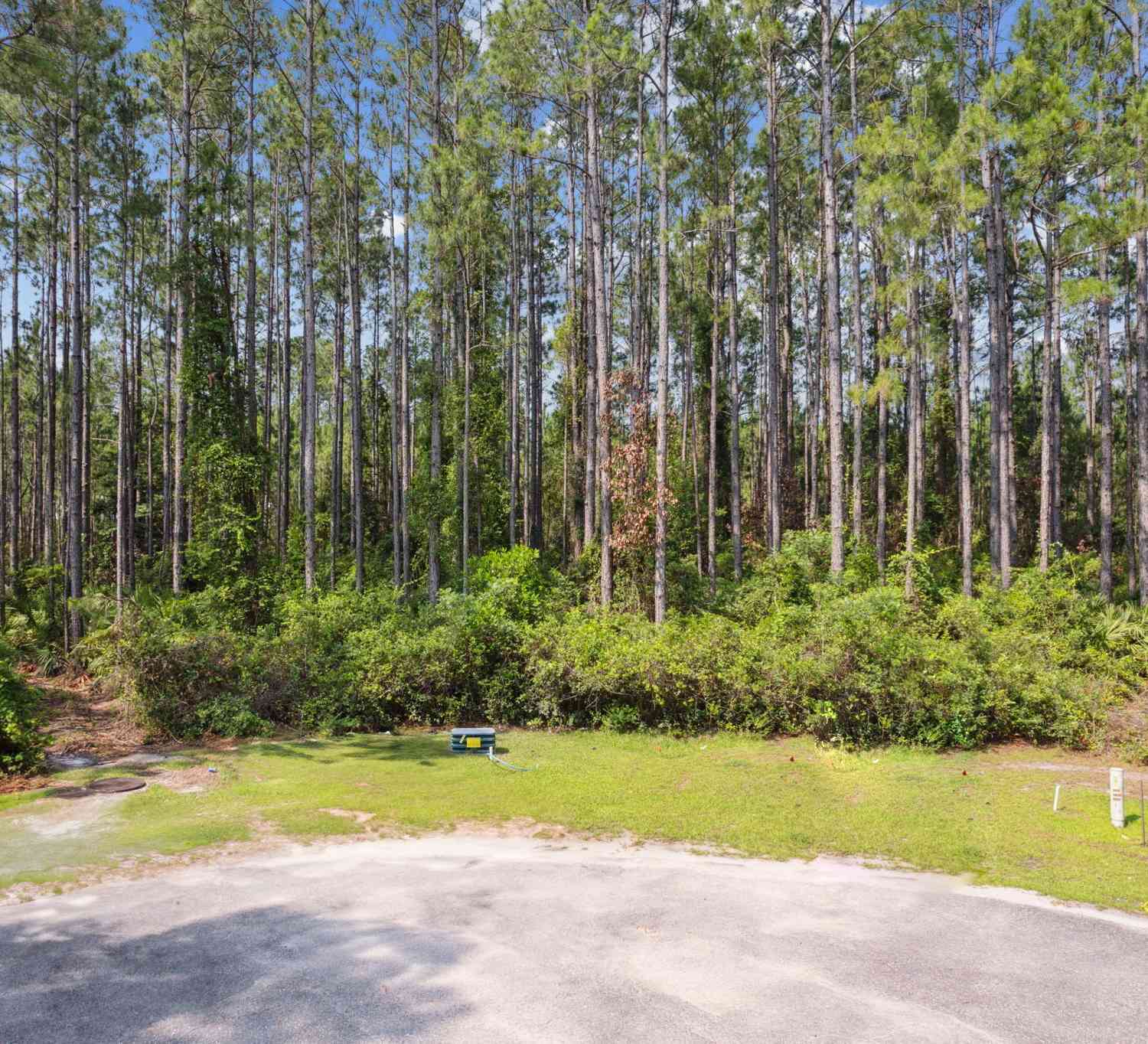 Vacant Land For Sale - 116 Wild Horse Court<br/> Camden County, Saint Marys, GA 31558