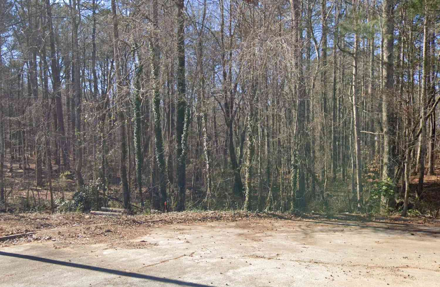Vacant Land For Sale - 4195 Stephanie Circle SE<br/> Conyers, GA 30013