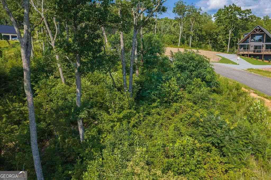 Vacant Land For Sale - LOT 93 Timberline Trail #93<br/> Talking Rock, GA 30175