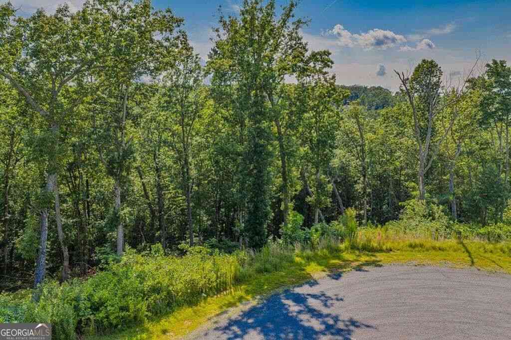 Vacant Land For Sale - LOT 84 High Summit Drive #84<br/> Talking Rock, GA 30175