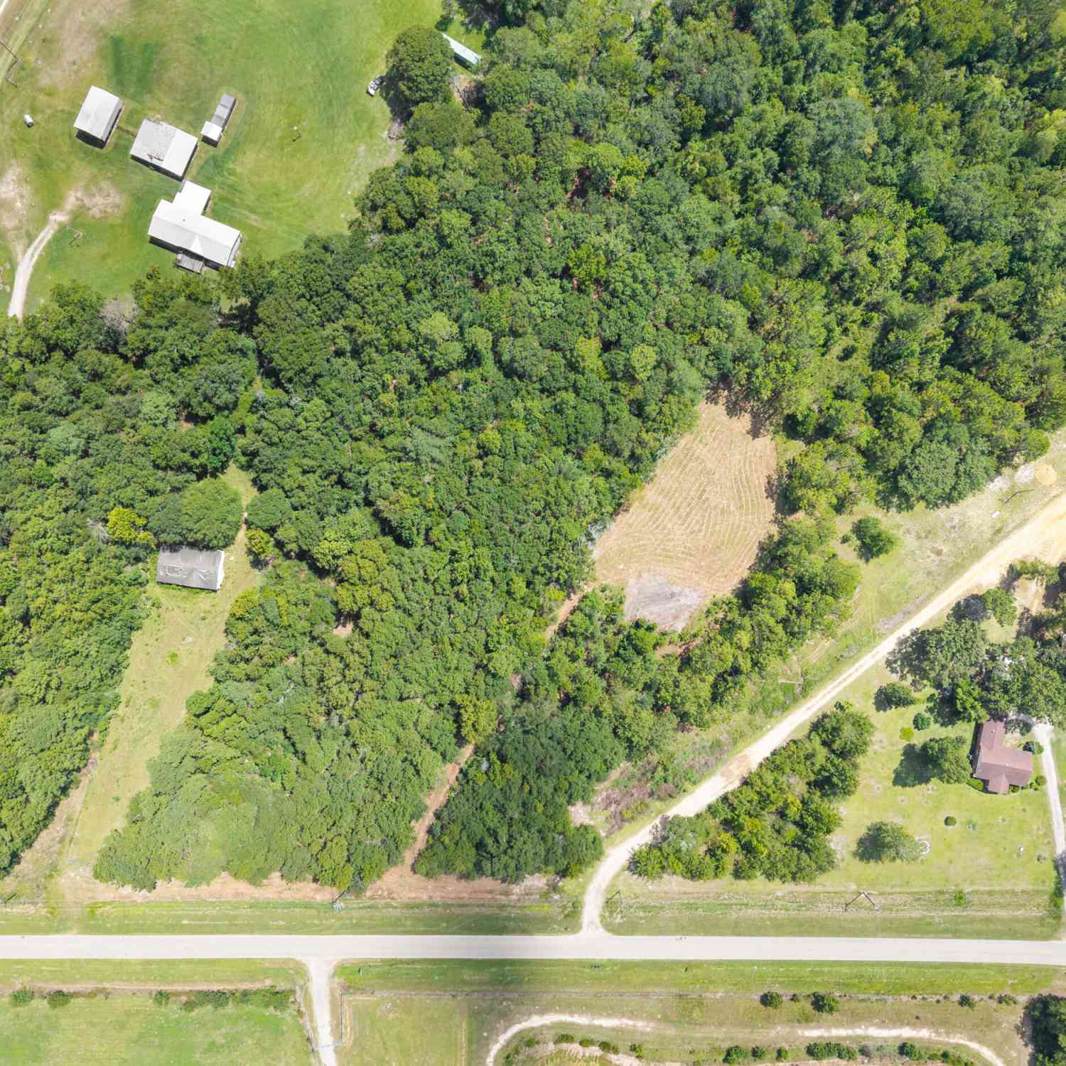 Vacant Land For Sale - Buck Creek Road<br/> Screven County, Sylvania, GA 30467