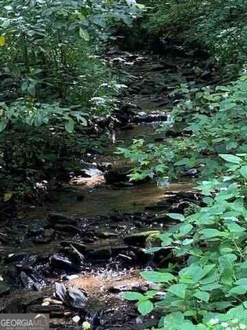 Vacant Land For Sale - Seven Springs<br/> Jasper, GA 30143