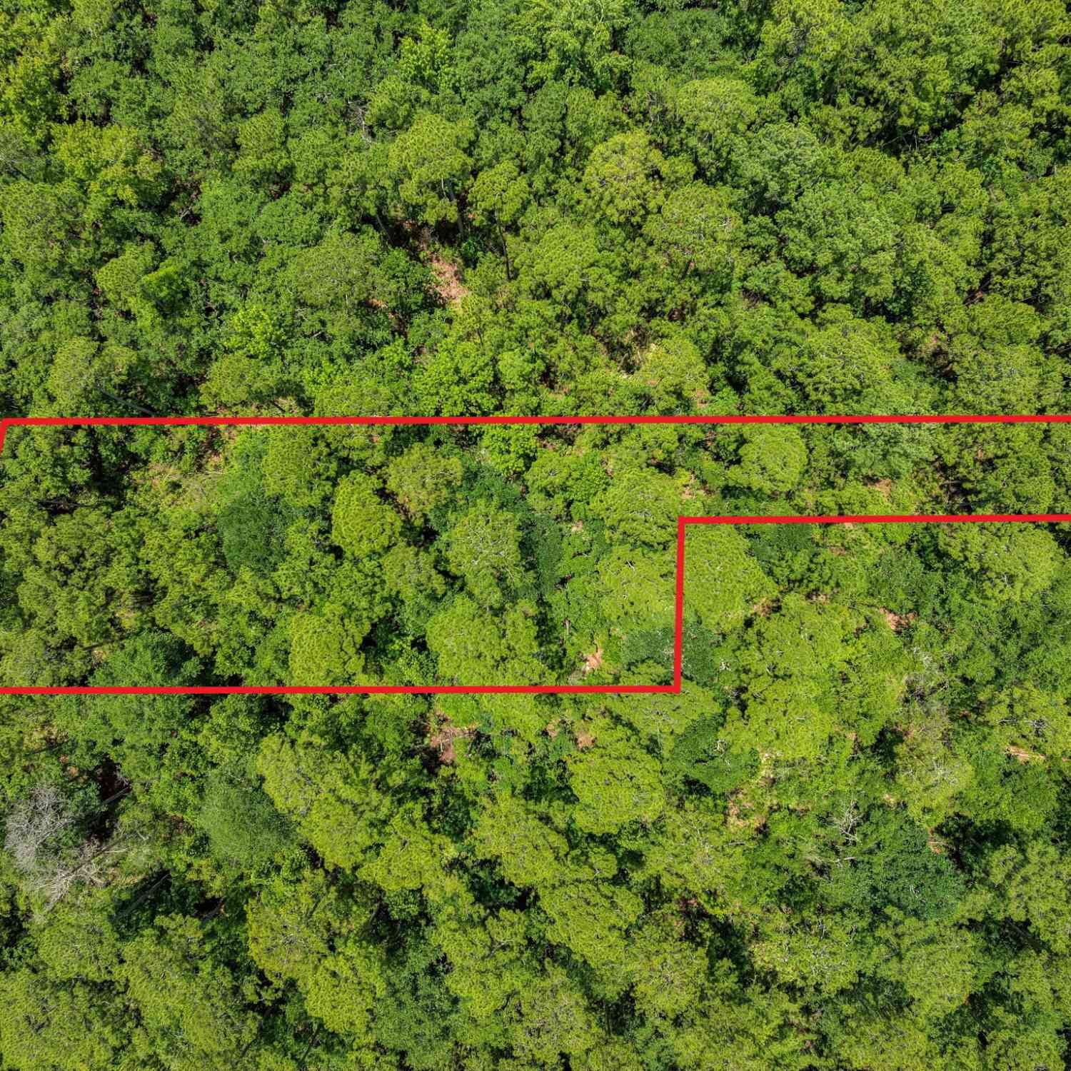 Vacant Land For Sale - V/L 18 Lighthouse Circle<br/> Camden County, Woodbine, GA 31569