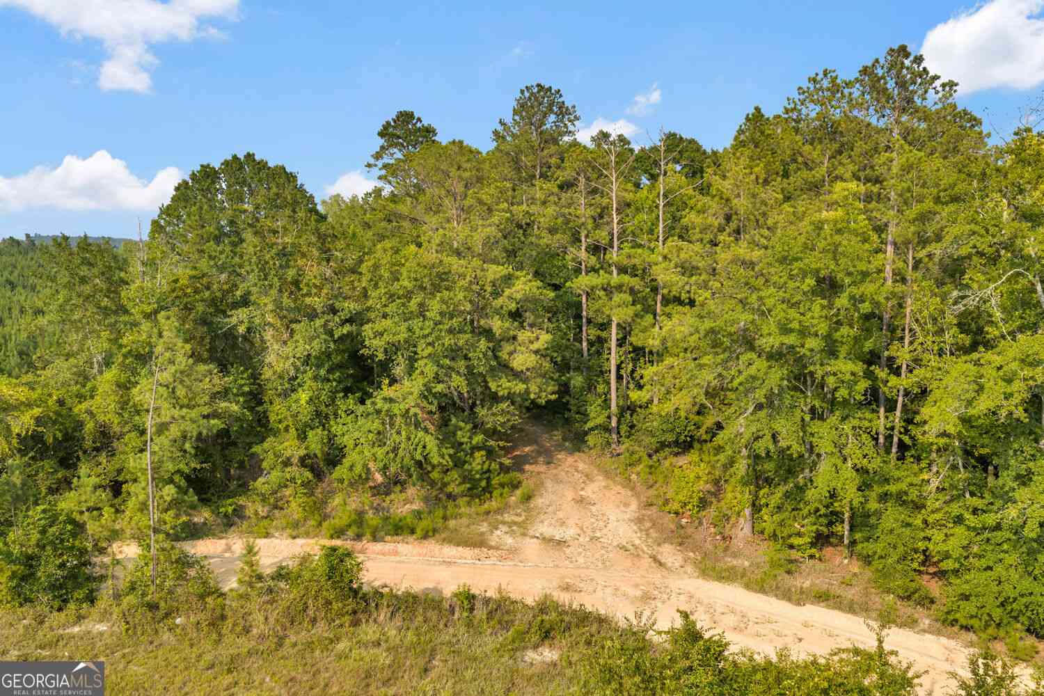 Vacant Land For Sale - MERCER TRACT New Hopewell Church Road<br/> Jeffersonville, GA 31044