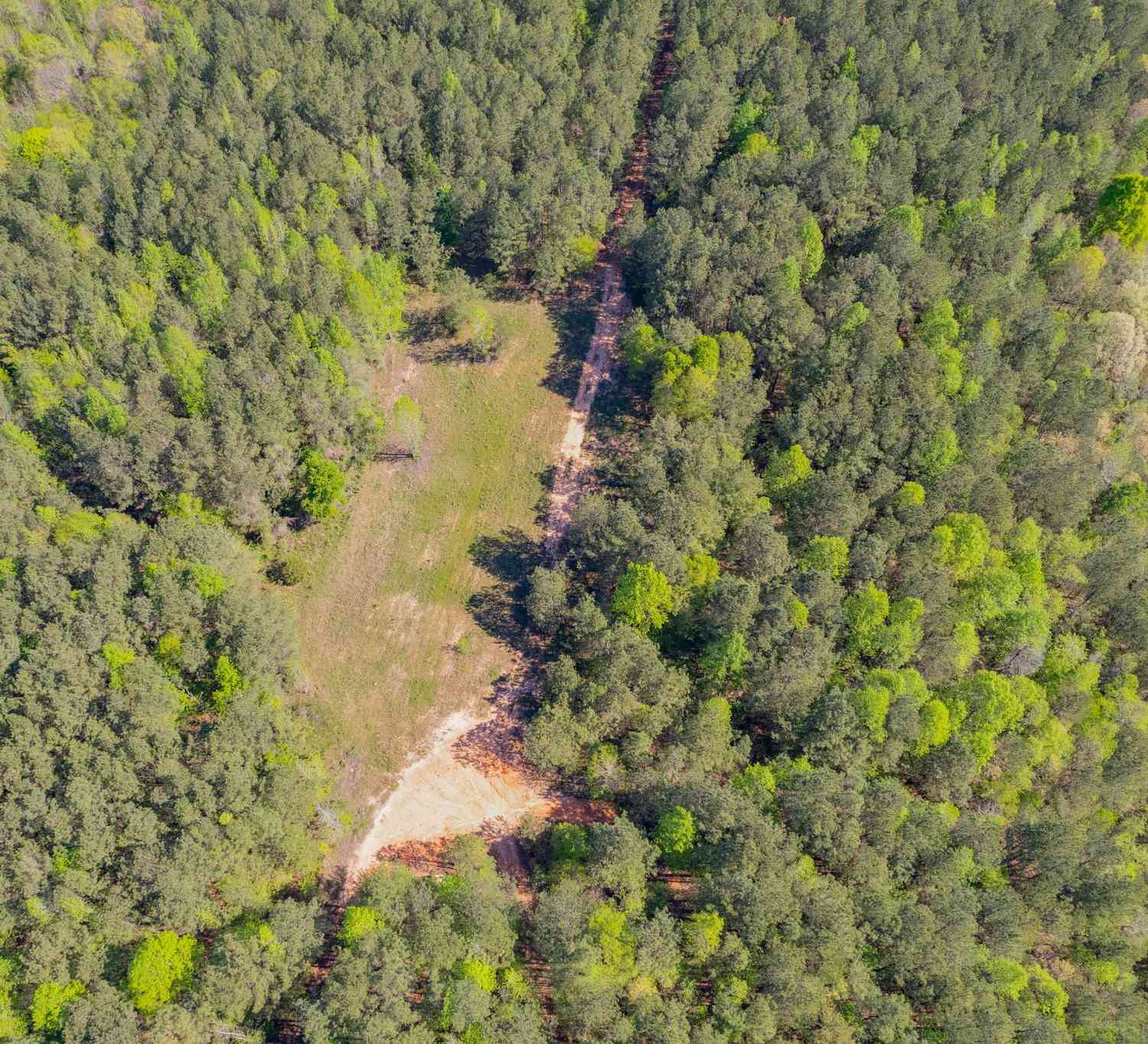 Vacant Land For Sale - Lipham Road<br/> Franklin, GA 30217