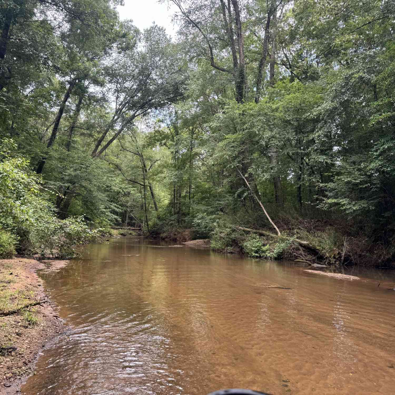 Vacant Land For Sale - 180.14 AC Johnson Mill Road<br/> Hamilton, GA 31811