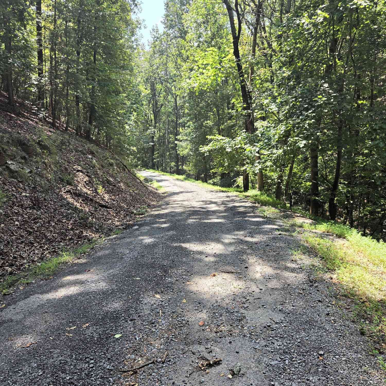 Vacant Land For Sale - 686 Anderson Lane NE<br/> Gordon County, Ranger, GA 30734