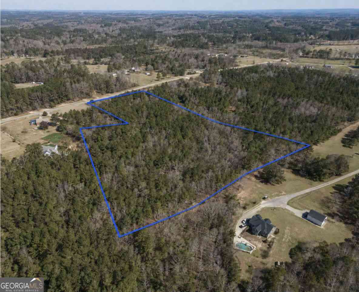 Vacant Land For Sale - Lee Thompson Road<br/> Coweta County, Moreland, GA 30259