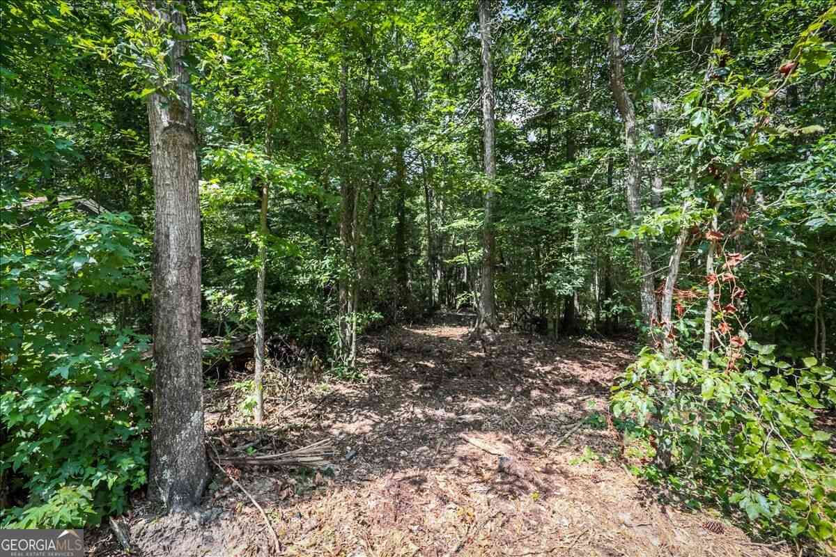 Vacant Land For Sale - 3132 Macedonia Road<br/> Cobb County, Powder Springs, GA 30127