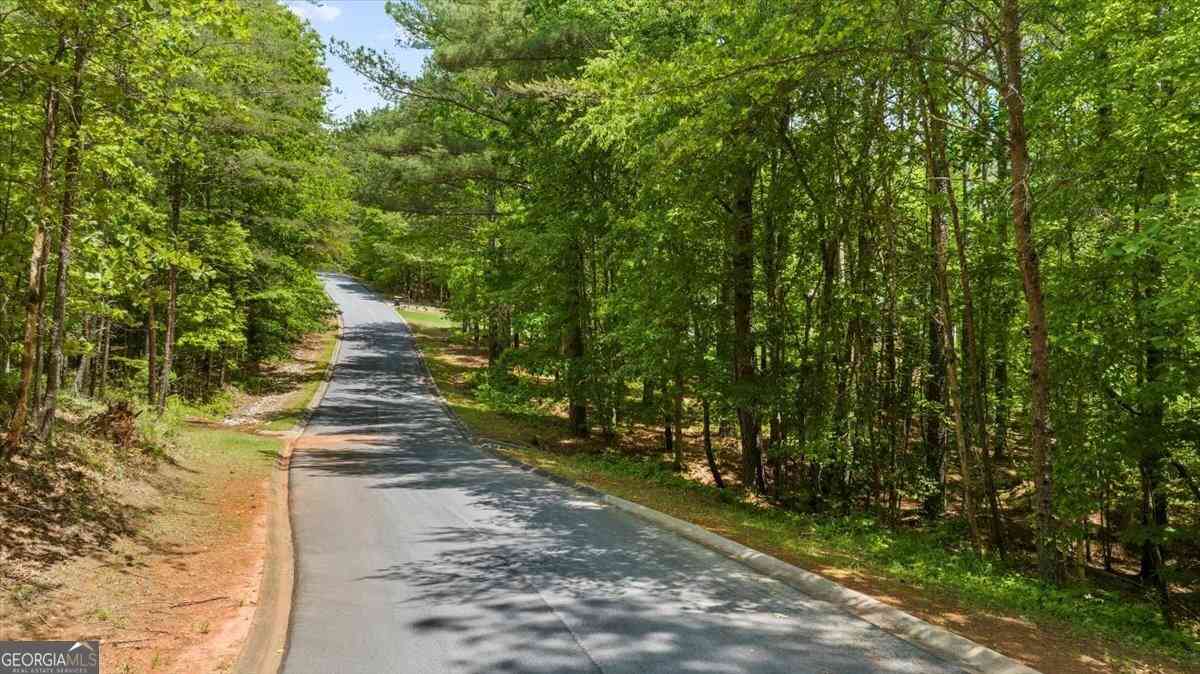 Vacant Land For Sale - Golden Delicious Road<br/> Clarkesville, GA 30523