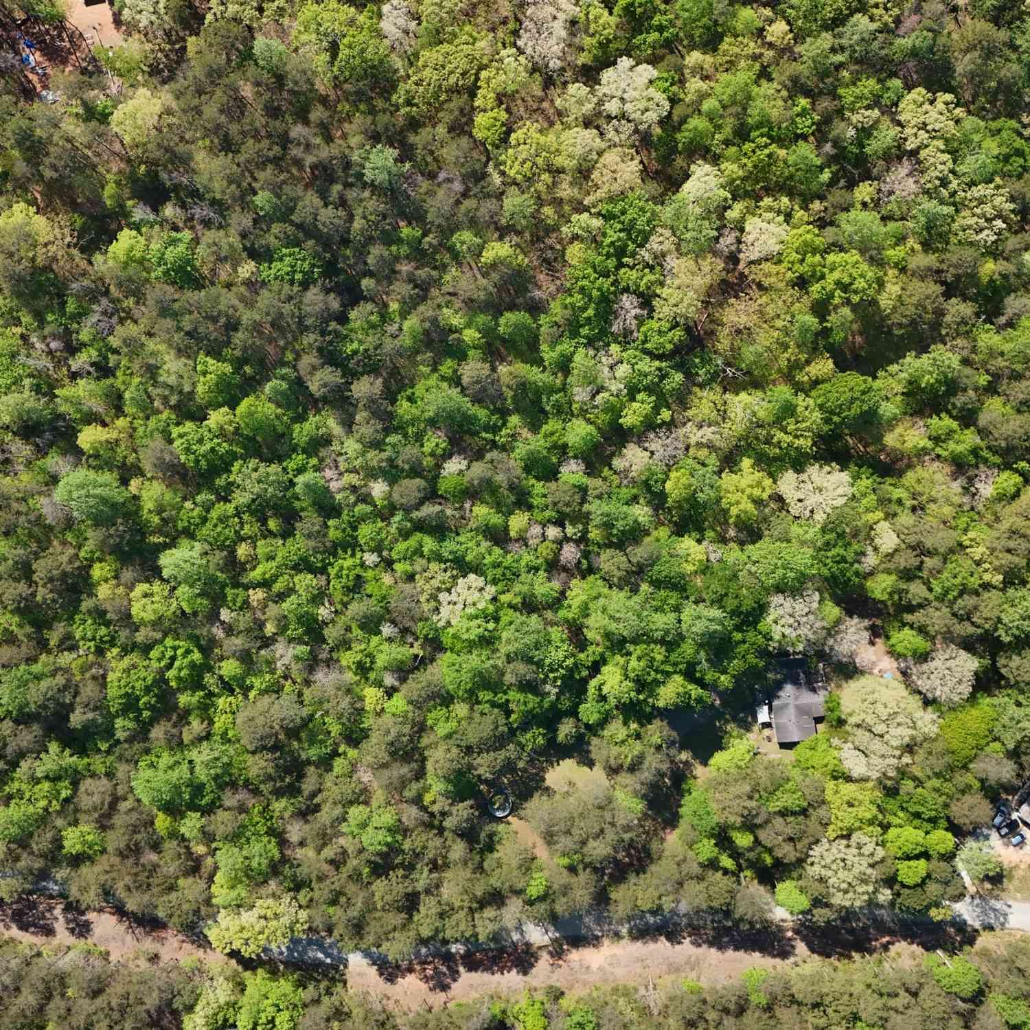 Vacant Land For Sale - Holcomb North Drive<br/> Martin, GA 30557