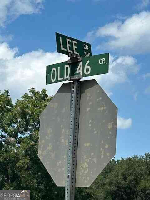 Vacant Land For Sale - Lee Road<br/> Pembroke, GA 31321
