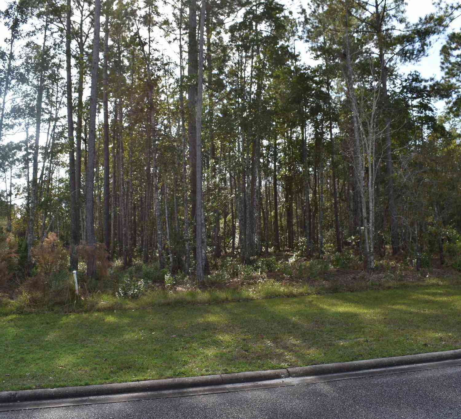 Vacant Land For Sale - 104 Baiter Court<br/> Saint Marys, GA 31558