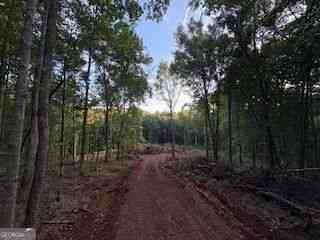 Vacant Land For Sale - LOT 17 Smith Road<br/> Thomaston, GA 30286