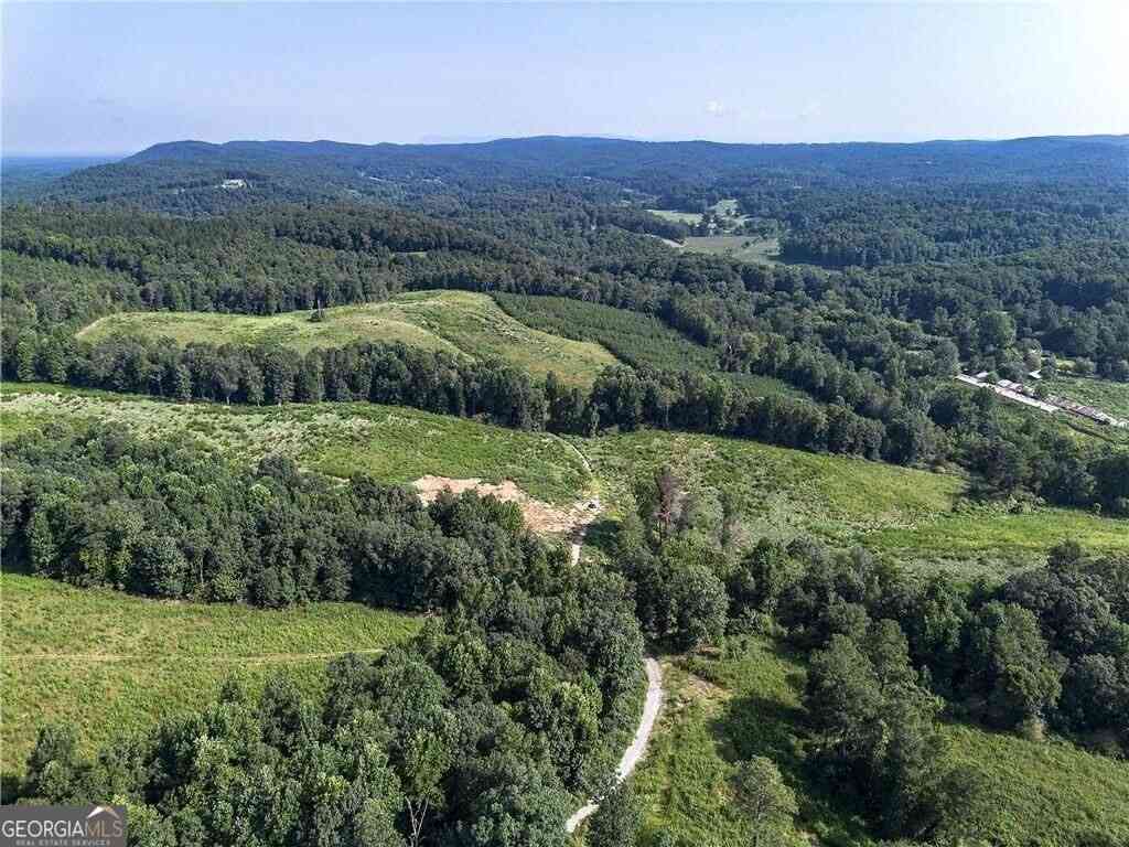 Vacant Land For Sale - Pearl Johnson Road<br/> Ranger, GA 30734