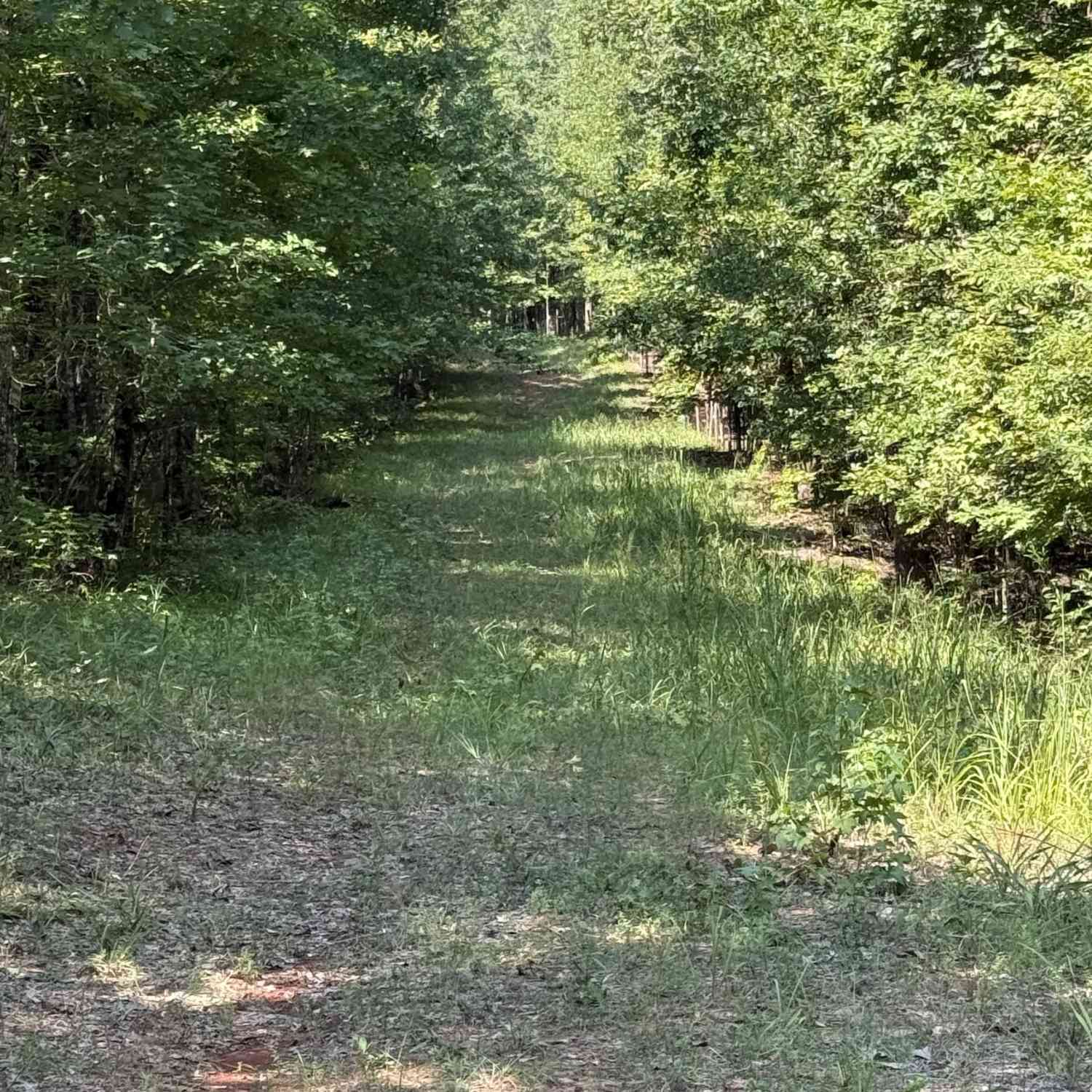 Vacant Land For Sale - Oak Valley Drive<br/> Macon, GA 31217