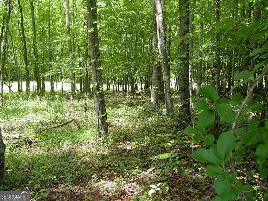 Vacant Land For Sale - #13 Dan Knob<br/> Hayesville, NC 28904
