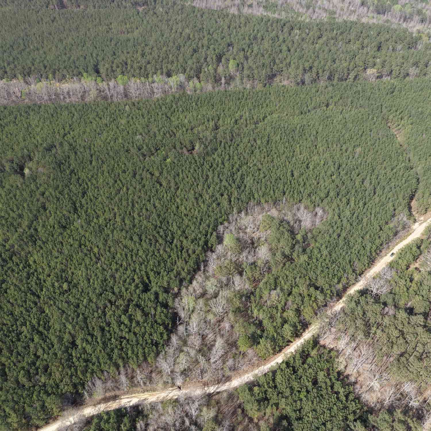 Vacant Land For Sale - 13 Hollis Norman Road<br/> Washington, GA 30673