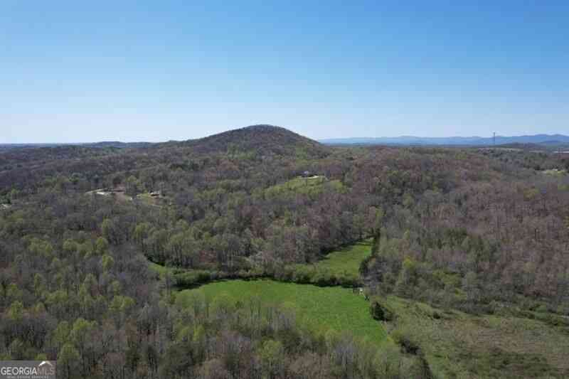 Vacant Land For Sale - Post White Hill Road<br/> Murrayville, GA 30564