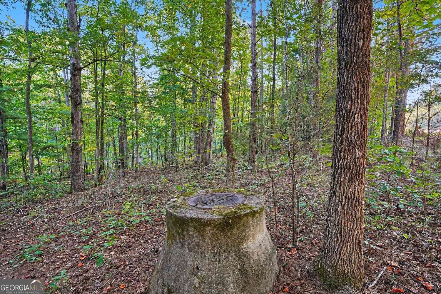 Vacant Land For Sale - Locust Road<br/> Locust Grove, GA 30248
